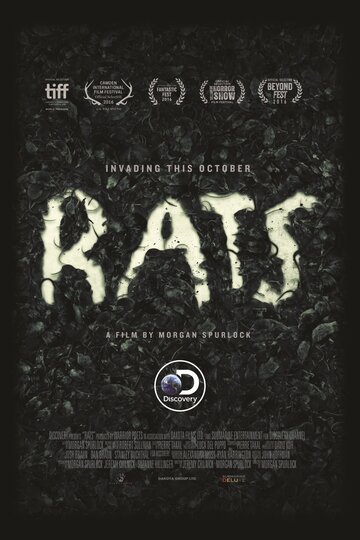 Крысы (2016)